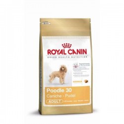 Royal Canin Pudel Adult 500 g
